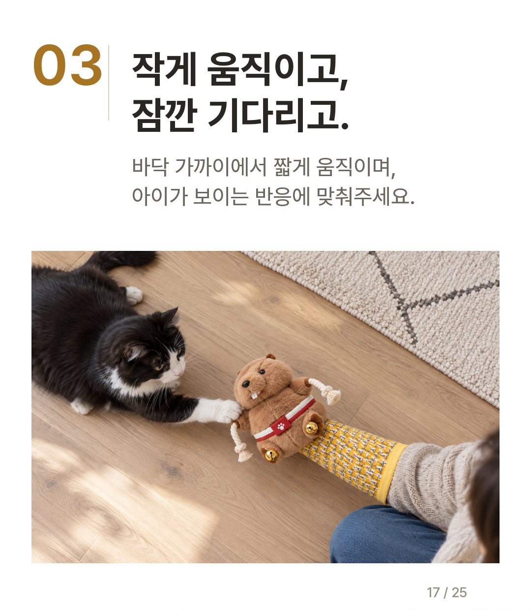 냥냥펀치 글러브 상세정보