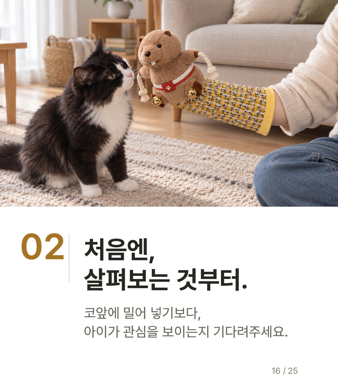 냥냥펀치 글러브 상세정보