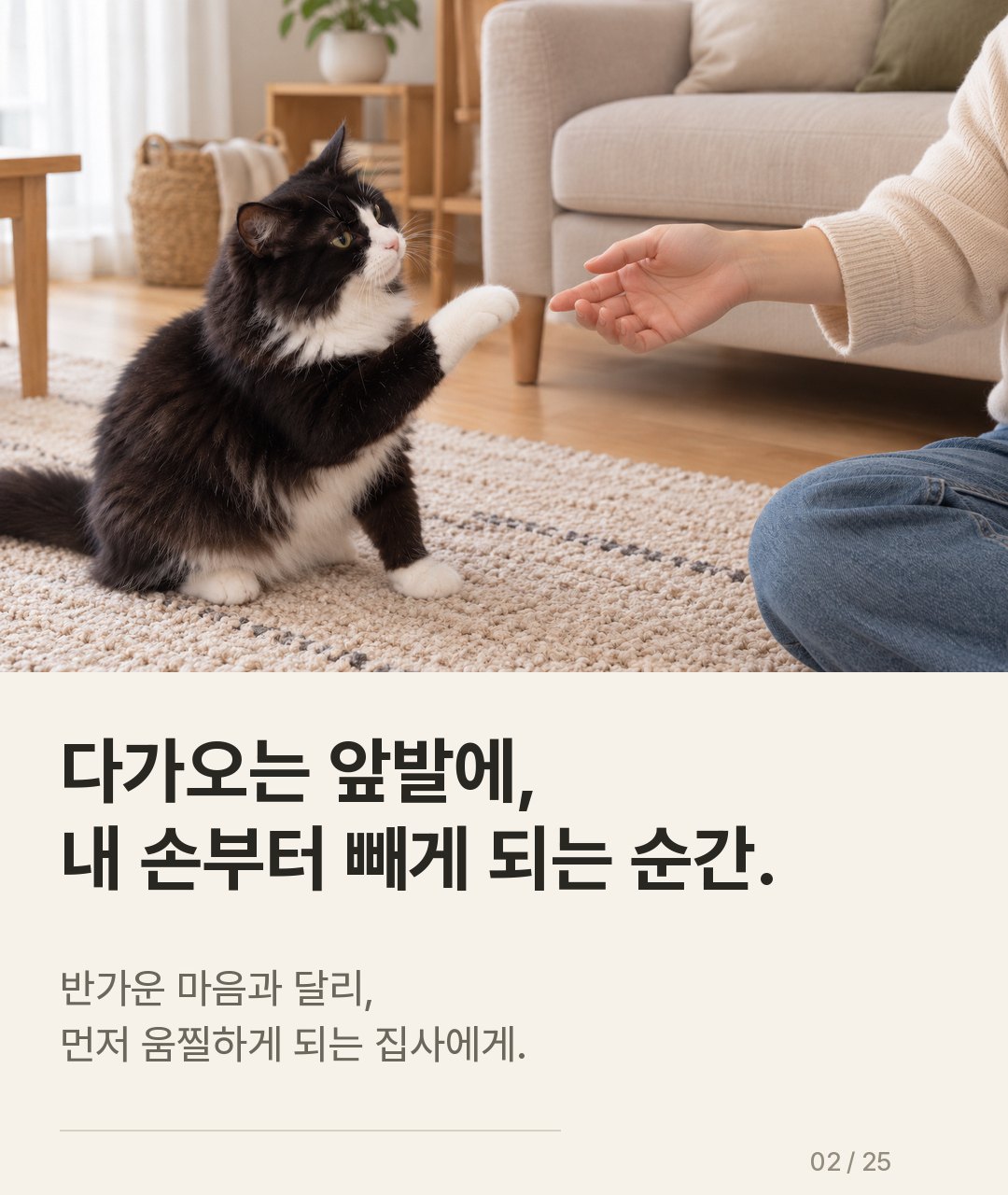 냥냥펀치 글러브 상세정보